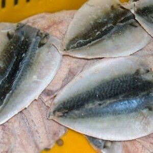 Mackerel Fillet
