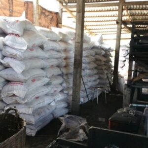 Coconut Natural shell charcoal
