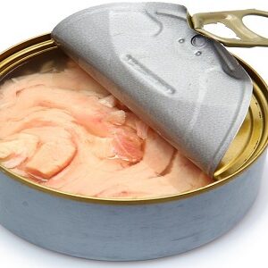 Canned Tuna Solid Fish