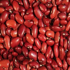 Small Red Beans