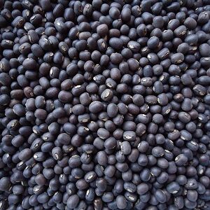Black Matpe