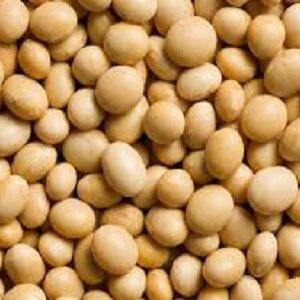Soya beans