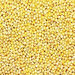 Millet