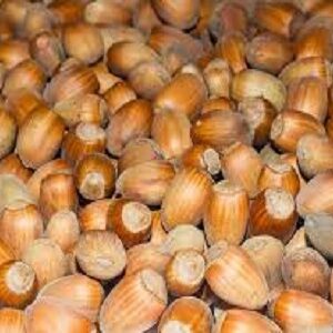 Hazelnuts