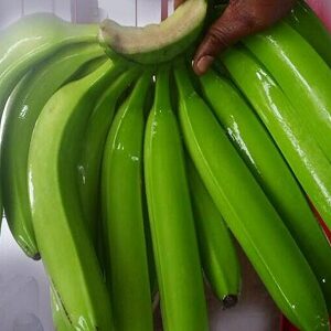 Cavendish Banana