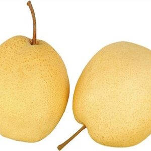 Fresh Pears