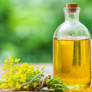 Canola Oil